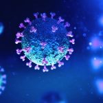 nuevo coronavirus