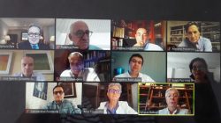 Especialistas hospitalarios en la webinar de Bamberg