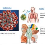 virus Covid-19