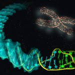 Distinguir subtipos de cáncer de mama es la clave para un abordaje preciso