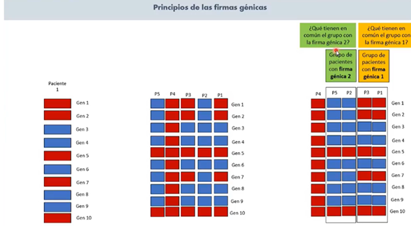 prinicpios de las firmas génicas