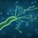 Difícil tratar la Helicobacter pylori por resistencia a antibióticos