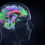 Investigan similitudes y diferencias en la actividad cerebral de la esquizofrenia y el TOC