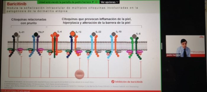 Pedro Herranz en su ponencia