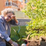 Propiedades de las vitaminas A+E para afrontar la primavera