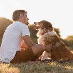 clima caluroso promueve el riesgo de padecer dirofilaria en mascotas