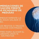 Alergólogos piden "no infravalorar" las picaduras de medusas y dan recomendaciones