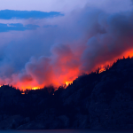 Abordaje del paciente con asma en crisis de incendios forestales